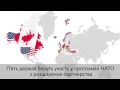 Україна і НАТО: сучасний погляд української молоді