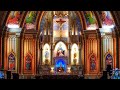 Sunday mass  live from kaippattoor church