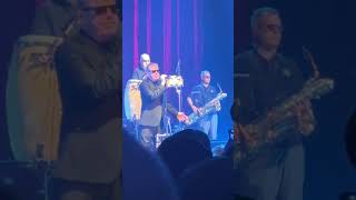 Madness “Run for Your Life” at Hammerstein Ballroom on 30th May 2024 (Live)