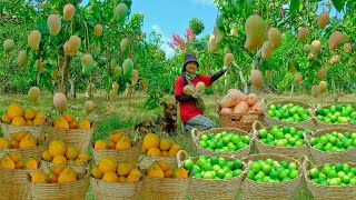Relaxing With A Harvest Of Sour Fruits: Seedless Lemon, Orange-Fleshed Pomelo, Pink Mango, Orange...