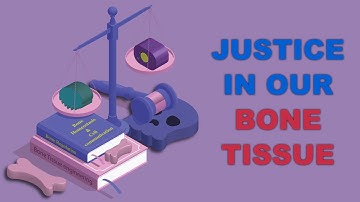 Bone tissue engineering I Osteoblast-Osteoclast Communication and Bone Homeostasis