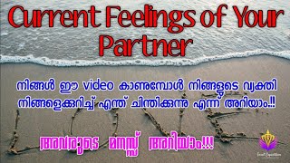 അവർ എന്താണ് പറയാൻ ആഗ്രഹിക്കുന്നത്....നിങ്ങളുടെ പങ്കാളിയുടെ നിലവിലെ വികാരങ്ങൾ #love #malayalam #tarot