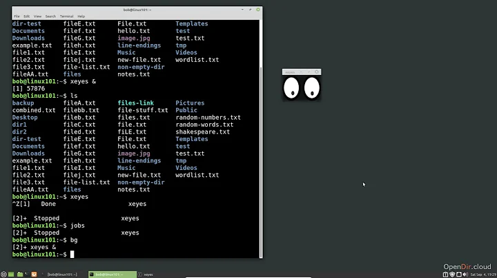 044 Foreground and Background Processes