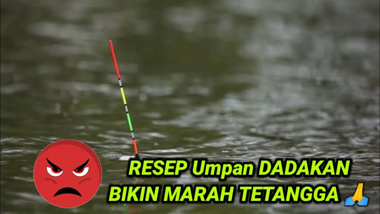 Umpan ikan mas musim hujan siang hari dan malam hari