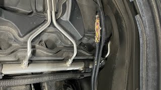 HOW TO AVOID RODENT DAMAGE ON YOUR VEHICLES