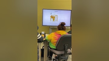 Anatomy and Physiology 1 Lab Practical 2 review session  Part 2