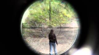 Sniper Test for 'Evasion'