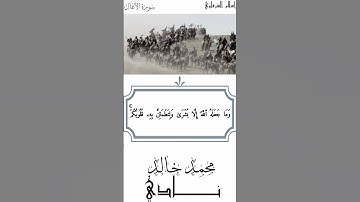 وَمَا النَّصر إِلا مِن عِند اللّٰه | القارئ محمد خالد نادي #القرآن_الكريم #islamic #islamicvideo