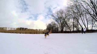 20150201 Sally - Frisbee im Schnee