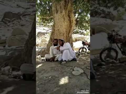 قاری ضیاء الرحمن فاروقی