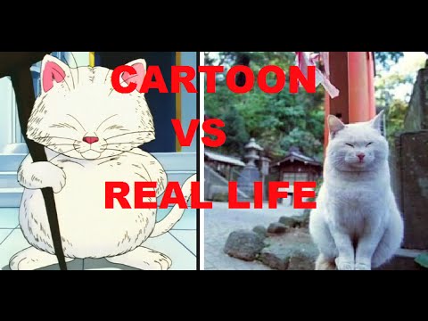 CAT CARTOON VS CAT REAL LIFE - YouTube