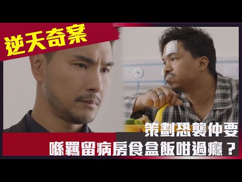 策劃恐襲仲要喺羈留病房食盒飯咁過癮？｜逆天奇案｜陳展鵬｜林夏薇｜馮盈盈｜劉佩玥｜TVBUSA｜港劇精華