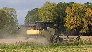 Love the Yellow Paint - Sometimes You Just Can&#39;t Get Them - New Holland - Soybeans #harvestchaser