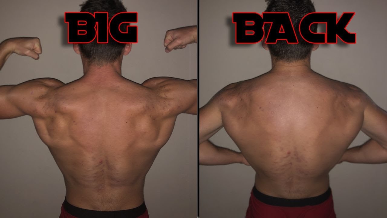 Best Back Workout! - YouTube