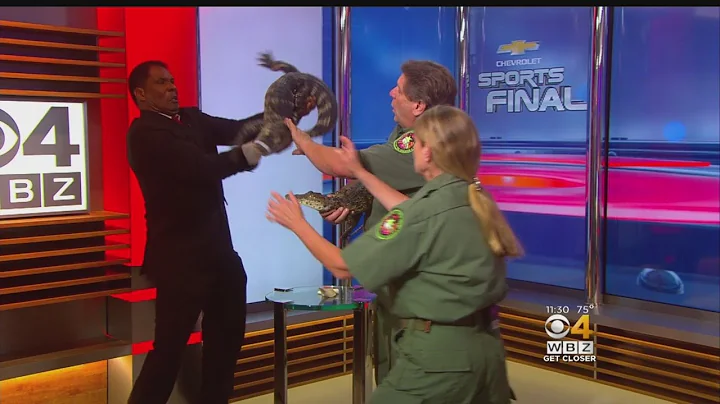 Steve Burton Struggles To Contain Flailing Alligator