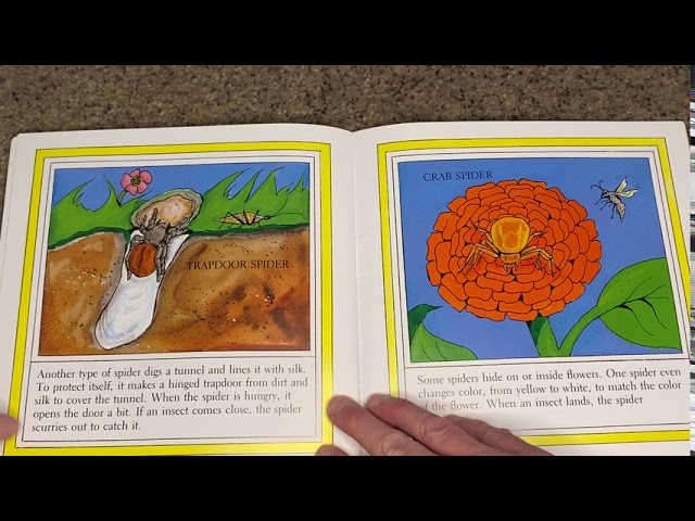 pics Spiders By Gail Gibbons Read Aloud spiders by gail gibbons youtube