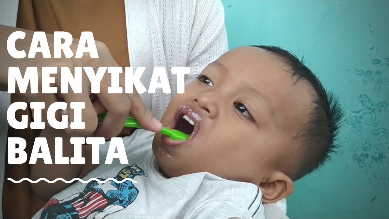  Cara  Menyikat  Gigi  Anak  Balita 2 Tahun Beli Sikat Gigi  
