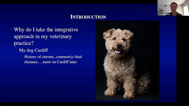 The Multimodal Approach to Pain Management: House Call Edition