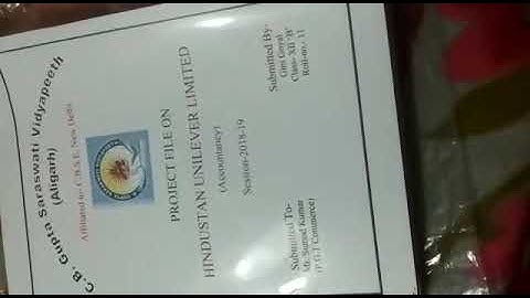 accountancy project on hindustan unilever limited class 12