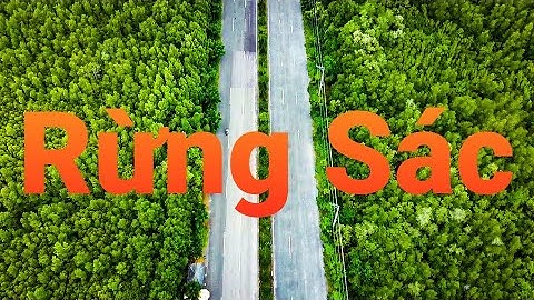 Rừng Sác - Đảo Khỉ Cần Giờ VN (short video)
