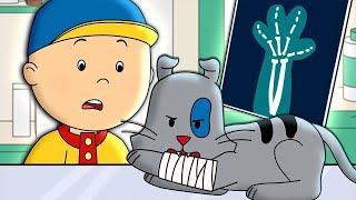 Gilbert A un accident | Caillou en Français