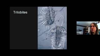 The Trouble with Trilobites – presented by Dr. Danita Brandt