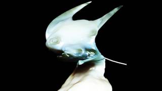 Arca - Snatch