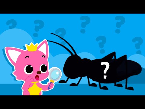 핑크퐁과 벌레와 숨바꼭질: 테티고니과, 사마귀, 무당벌레 | 아이들을 위한 어휘