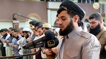 فضيلة الشيخ د رعد محمد الكردي سورة القصص -٢٨-  ٢٩ رمضان ١٤٣٨ هجري مسجد جنة مدينة السليمانية