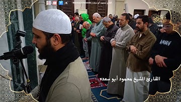 تلاوه خاشعه 30 | للقارئ الشيخ محمود أبو سعده الليله الحادي عشر رمضان 1446