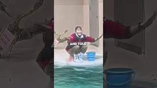 Download Lagu This otter tried so hard ๐ฅนโค๏ธ #shorts MP3 Download Lagu This otter tried so hard ๐ฅนโค๏ธ #shorts MP3