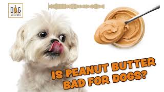 Is Peanut Butter Bad for Dogs? │ Dr. Demian Dressler Deep Dive