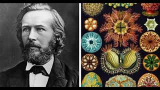 ernst haeckel