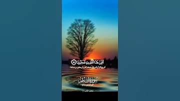 من سورة النجم بصوت جميل وخاشع #القرآن_الكريم #اكسبلور #راحة_نفسية #quran