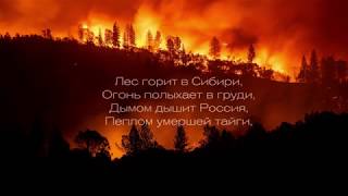 Лесные пожары в Сибири!