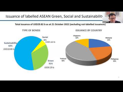 Key insights into the ASEAN sustainable finance taxonomy