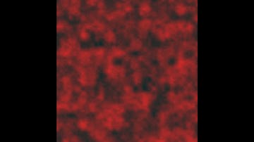 Procedurally Generated Texture - Lava