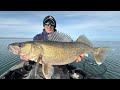 Giant prespawn walleyes in tough conditions