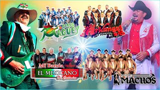 Banda Mexican Party Mix 2024 || Banda Para Bailar de los 90s: maguey, machos, el mexicano y otras