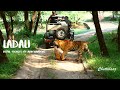 Tigress hunt baby sambar deer | Ranthambore National Park | Sep 2020