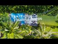 Experience the hidden treasures of tahiti peninsula with villa manaora  4k drone footage