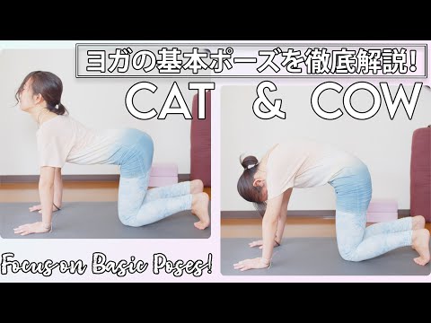 e House　ヨガビデオ e House ヨガビデオ Home Yoga Challenge] Day 7 - Sunday Yoga