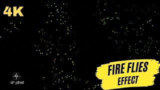 Stunning 4K Firefly Effect & Bokeh Animation  Only Original Videos | Free Motion Graphics