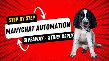 ManyChat Automation Story Reply Giveaway VIDEO