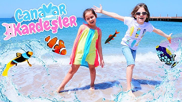Eğlenceli video.  Oyun alanı - plaj. Canavar Kardeşler denizde balık tutuyorlar
