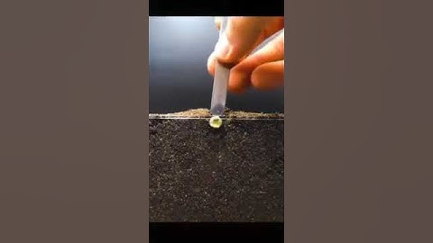 ومن آياته انك ترى الأرض خاشعة