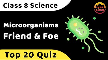 Microorganisms friend and foe quiz
