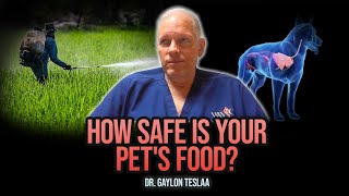 Dr. Gaylon TeSlaa: The Glyphosate Problem - How It Affects Your Dog's Health | Gussy's Gut