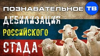 Дебилизация и уничтожение российского стада (Познавательное ТВ, Владимир Базарный) Дебилизация и уничтожение российского стада (Познавательное ТВ, Владимир Базарный)
