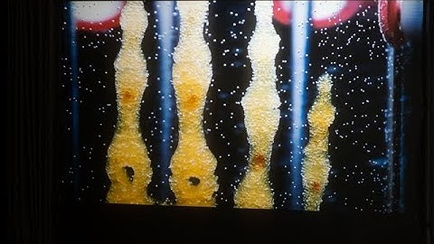 ©escmedienkunstlabor, Guided by the artist, Regenerative Reliquary Bringing Bones to Life, Amy Karle